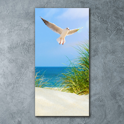 Acrylic print Seagull over the dunes