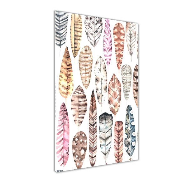 Colorful feathers
