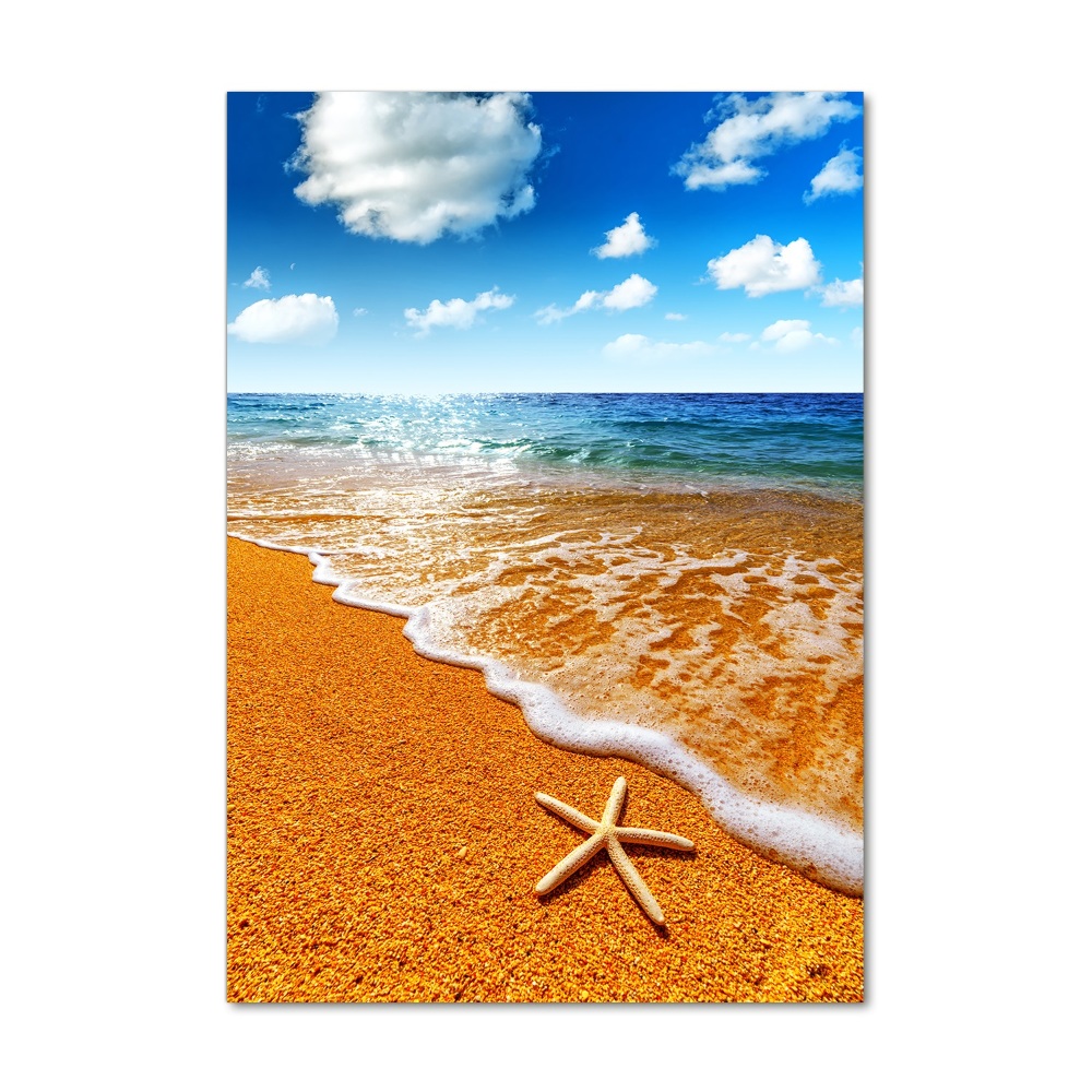 Acrylic print Starfish