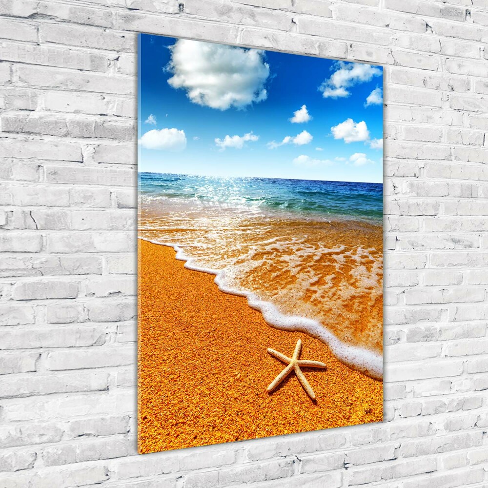 Acrylic print Starfish