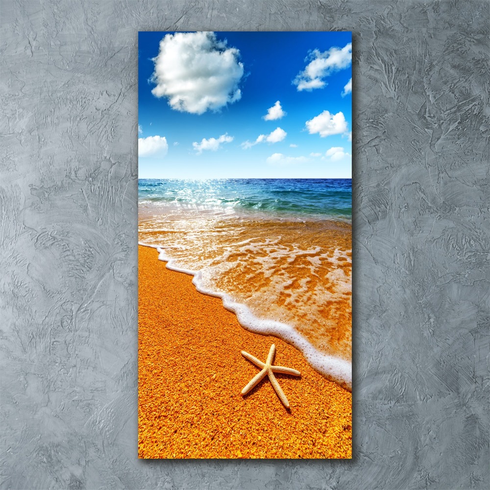 Acrylic print Starfish