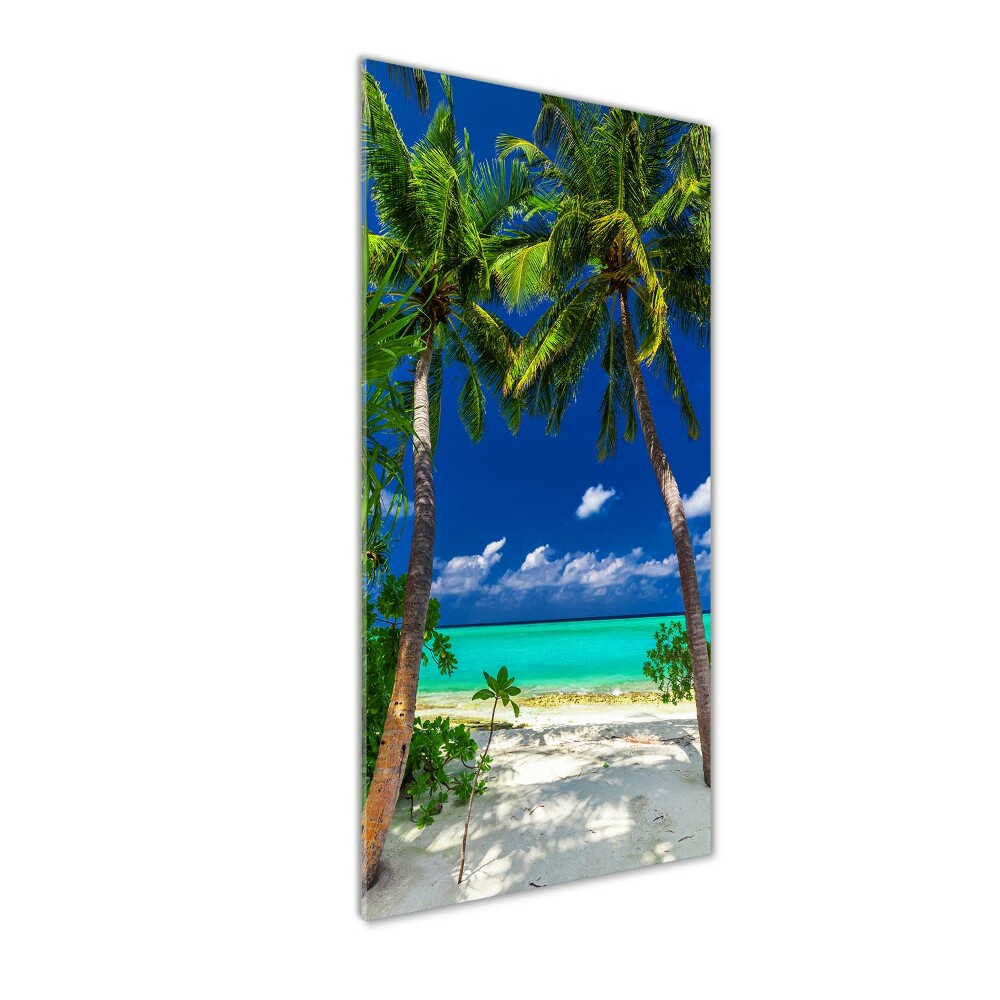 Acrylic print Tropical beach