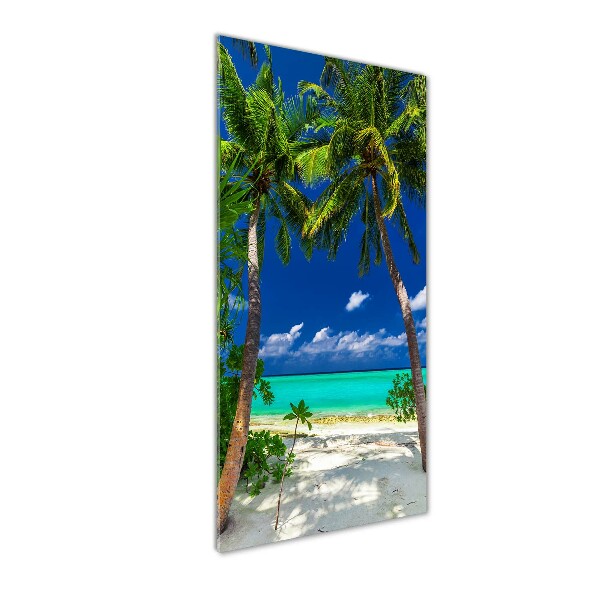 Acrylic print Tropical beach