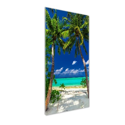 Acrylic print Tropical beach