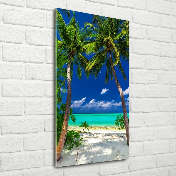 Acrylic print Tropical beach