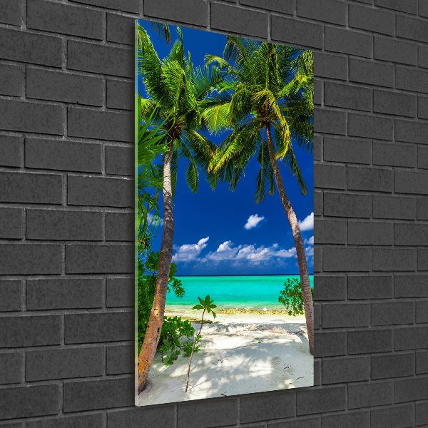 Acrylic print Tropical beach