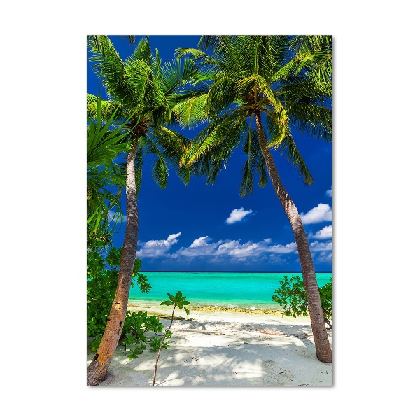 Acrylic print Tropical beach