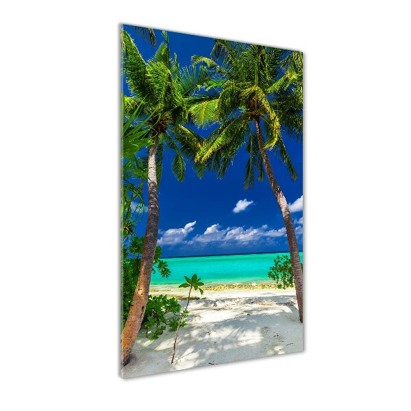 Acrylic print Tropical beach