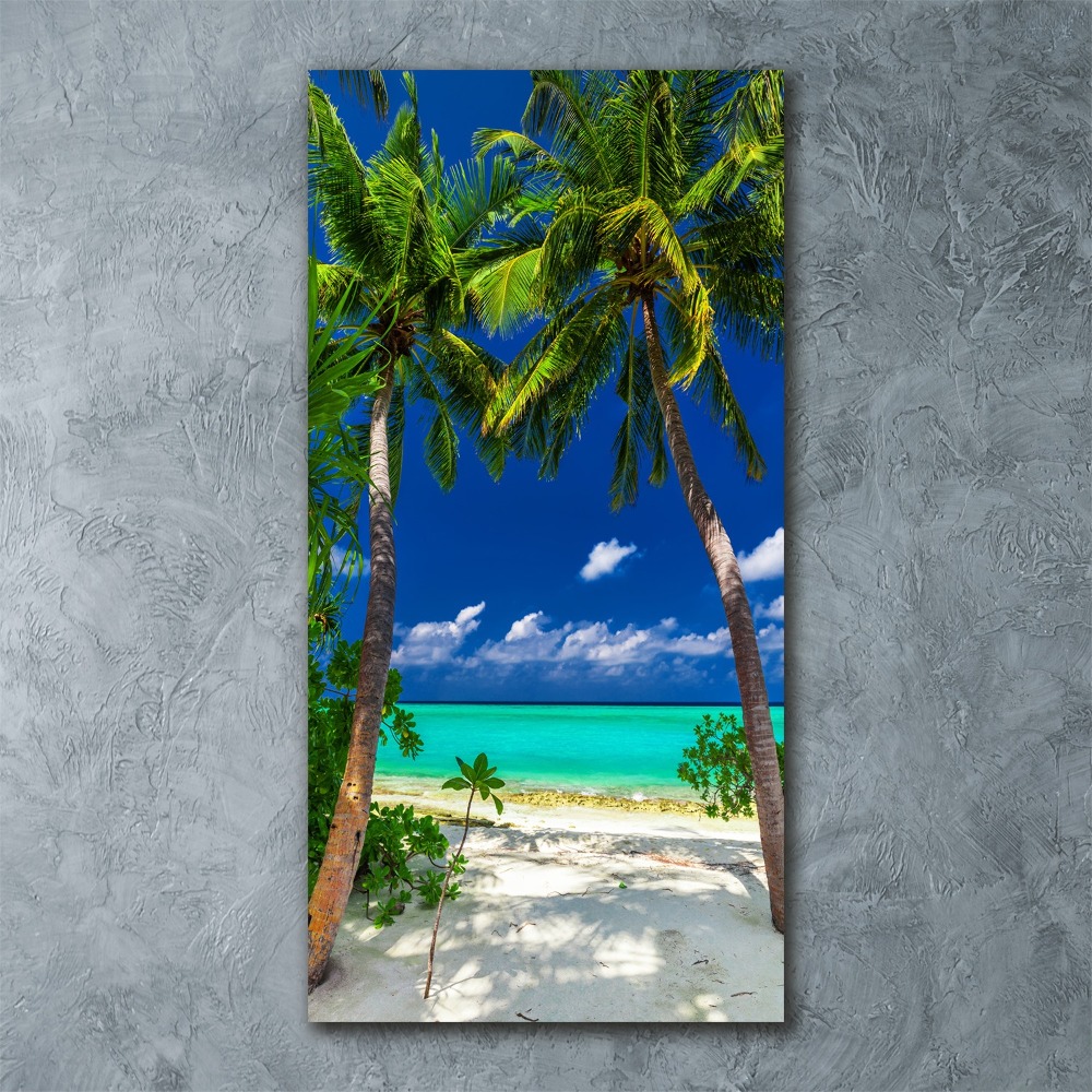 Acrylic print Tropical beach