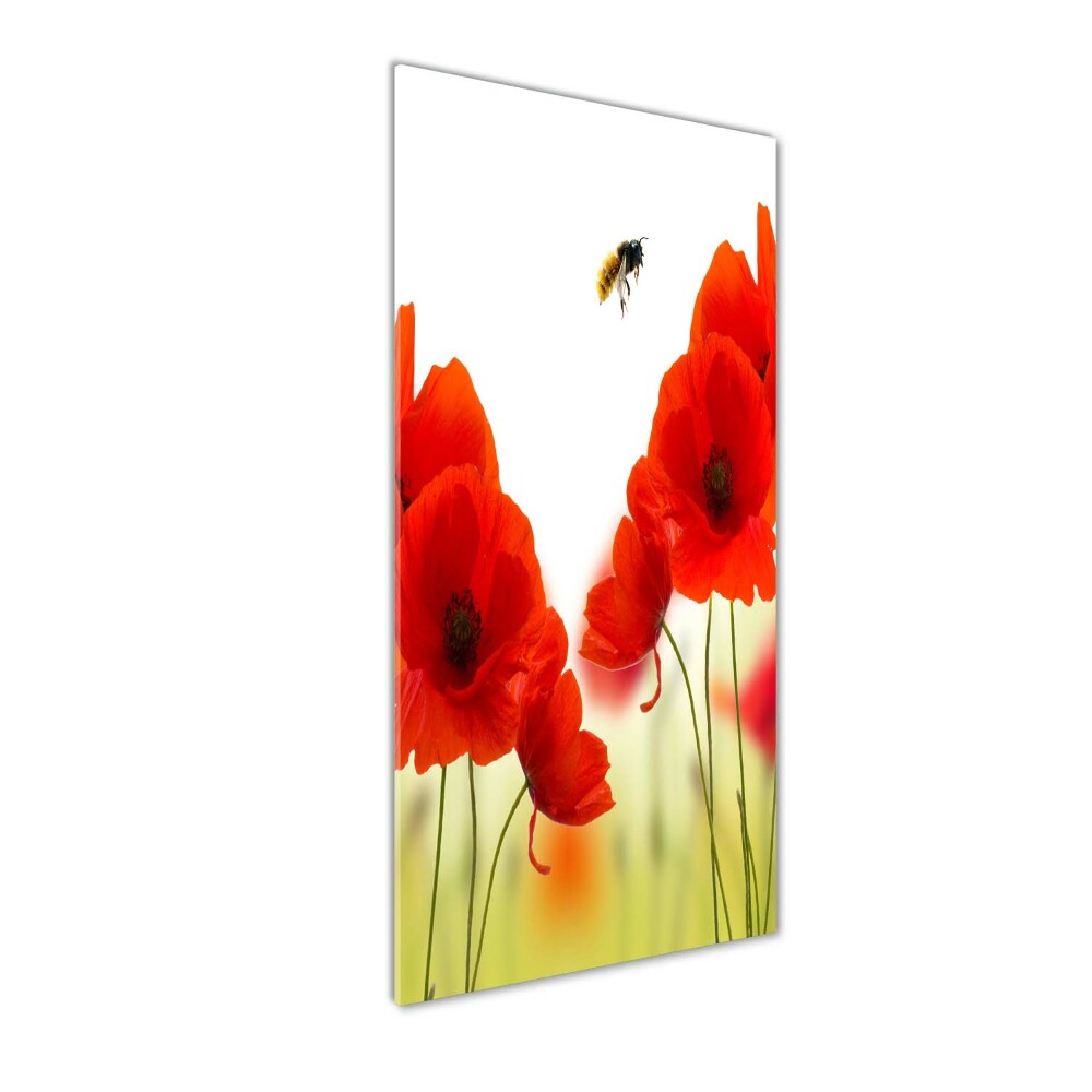 Print on acrylic glass Field poppies