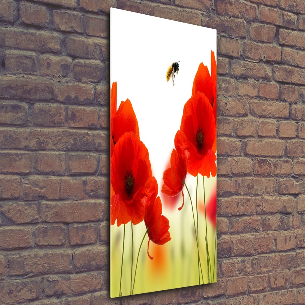 Print on acrylic glass Field poppies