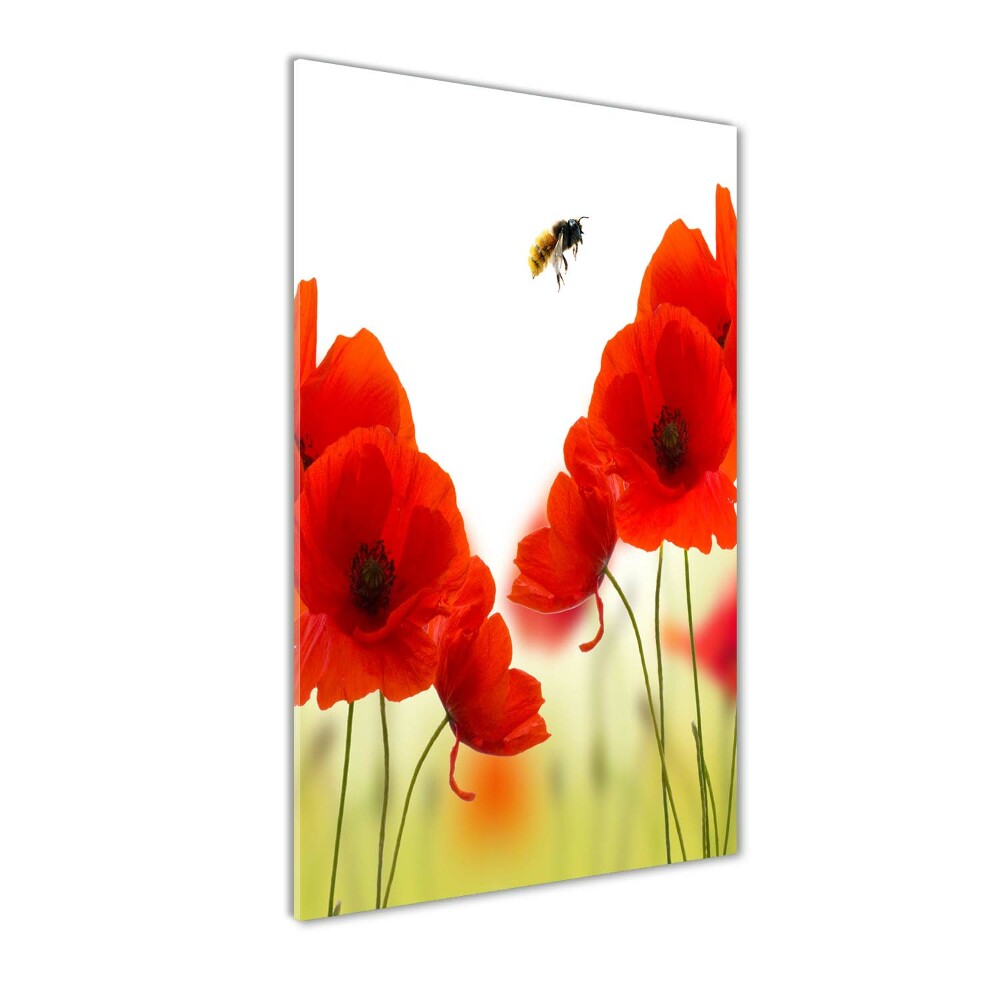 Print on acrylic glass Field poppies