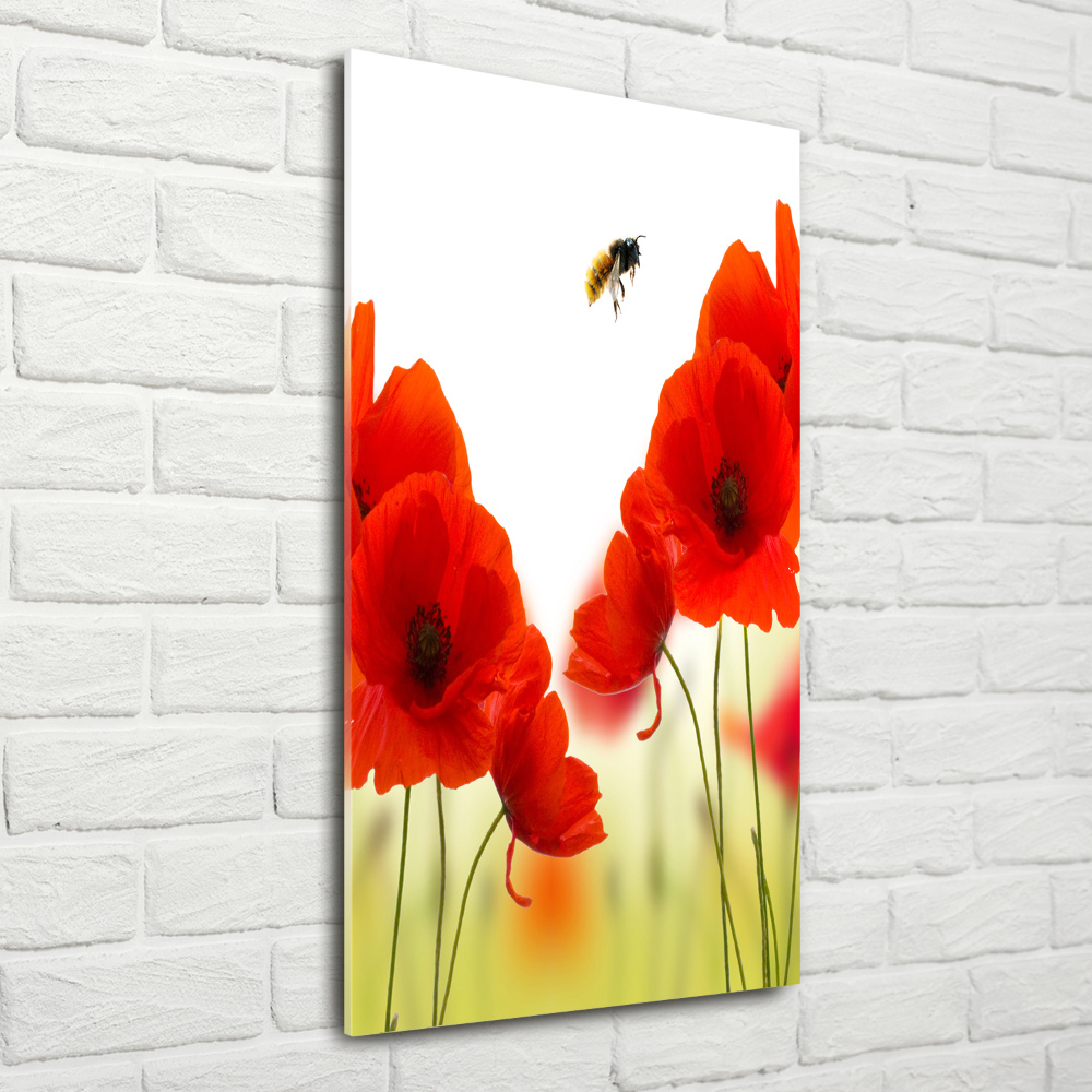 Print on acrylic glass Field poppies