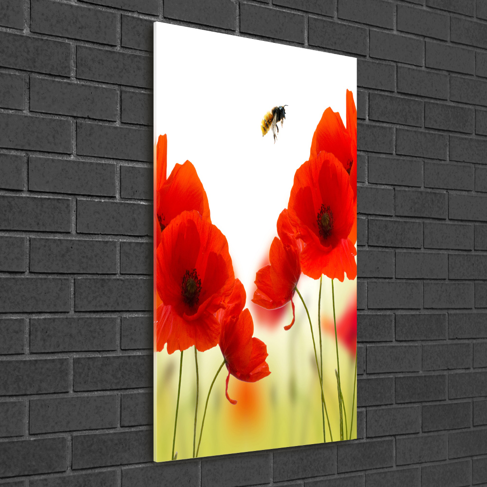 Print on acrylic glass Field poppies