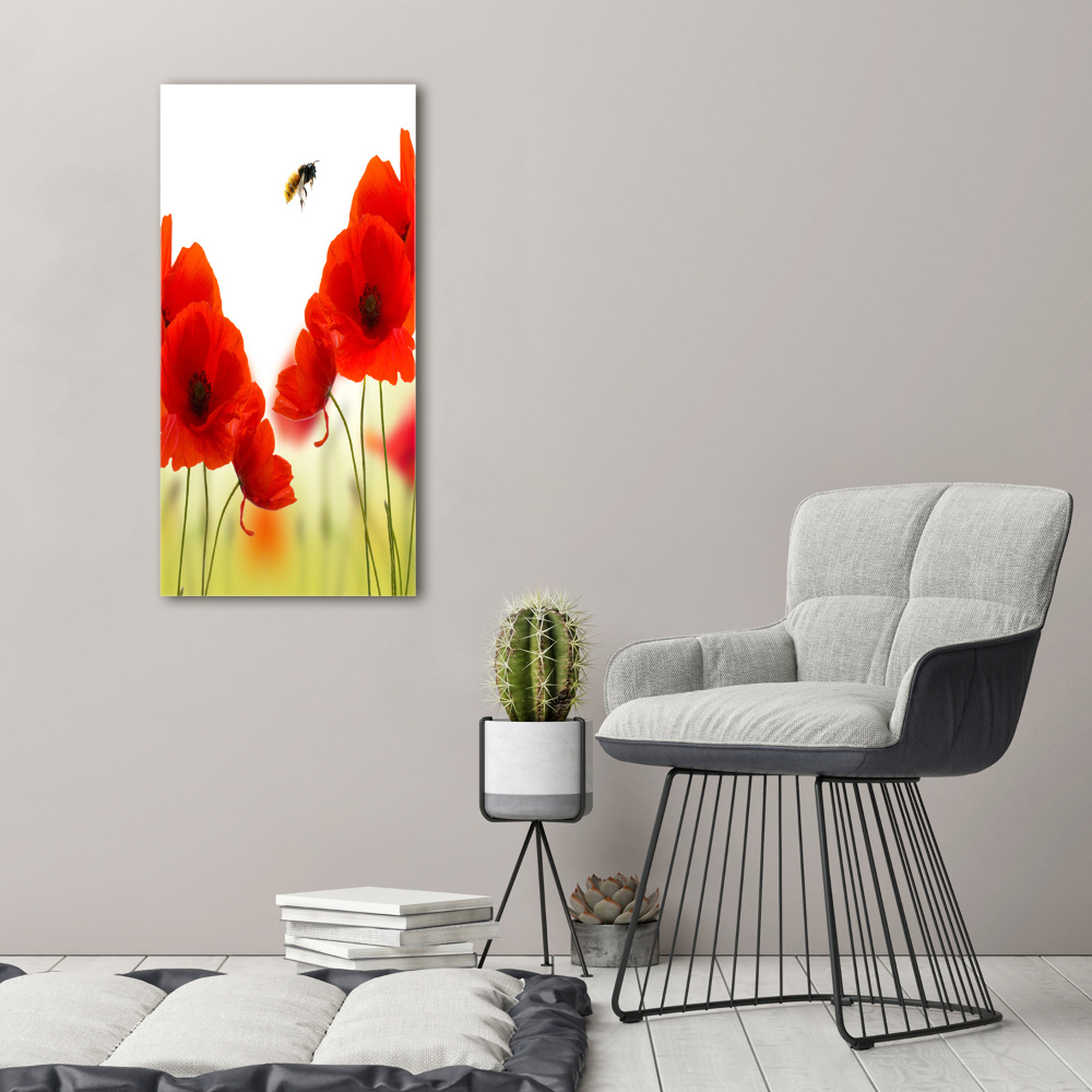 Print on acrylic glass Field poppies