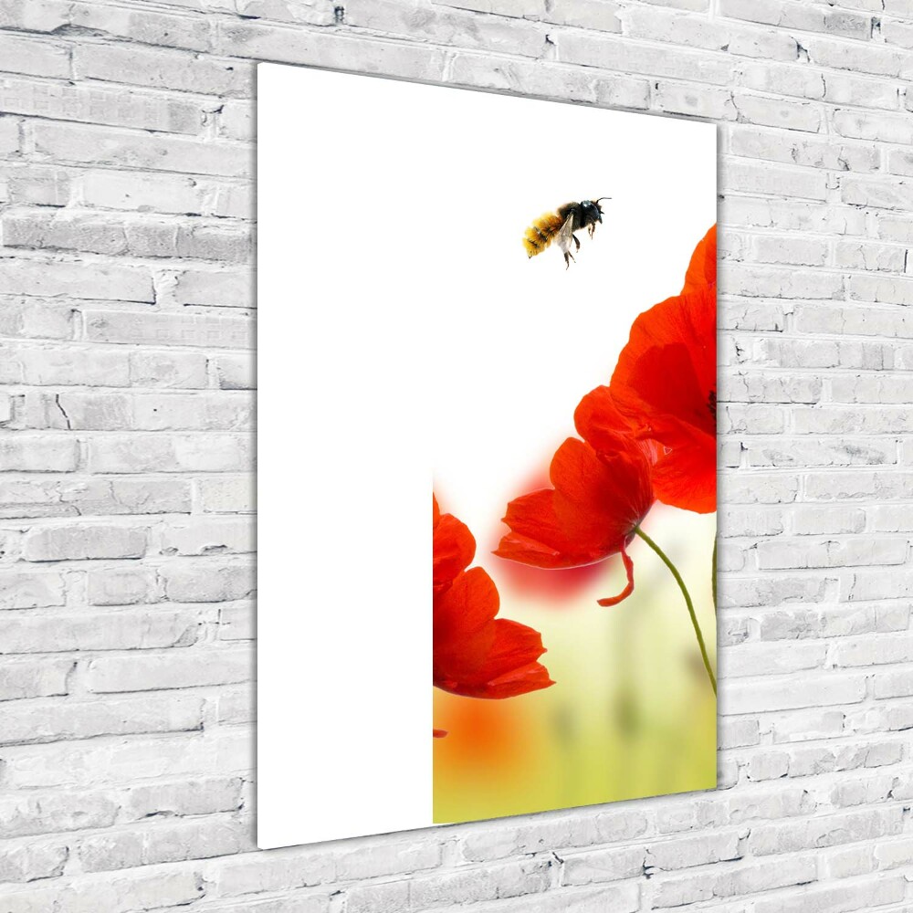 Print on acrylic glass Field poppies