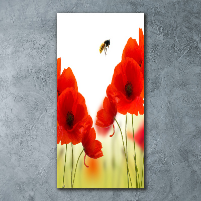 Print on acrylic glass Field poppies