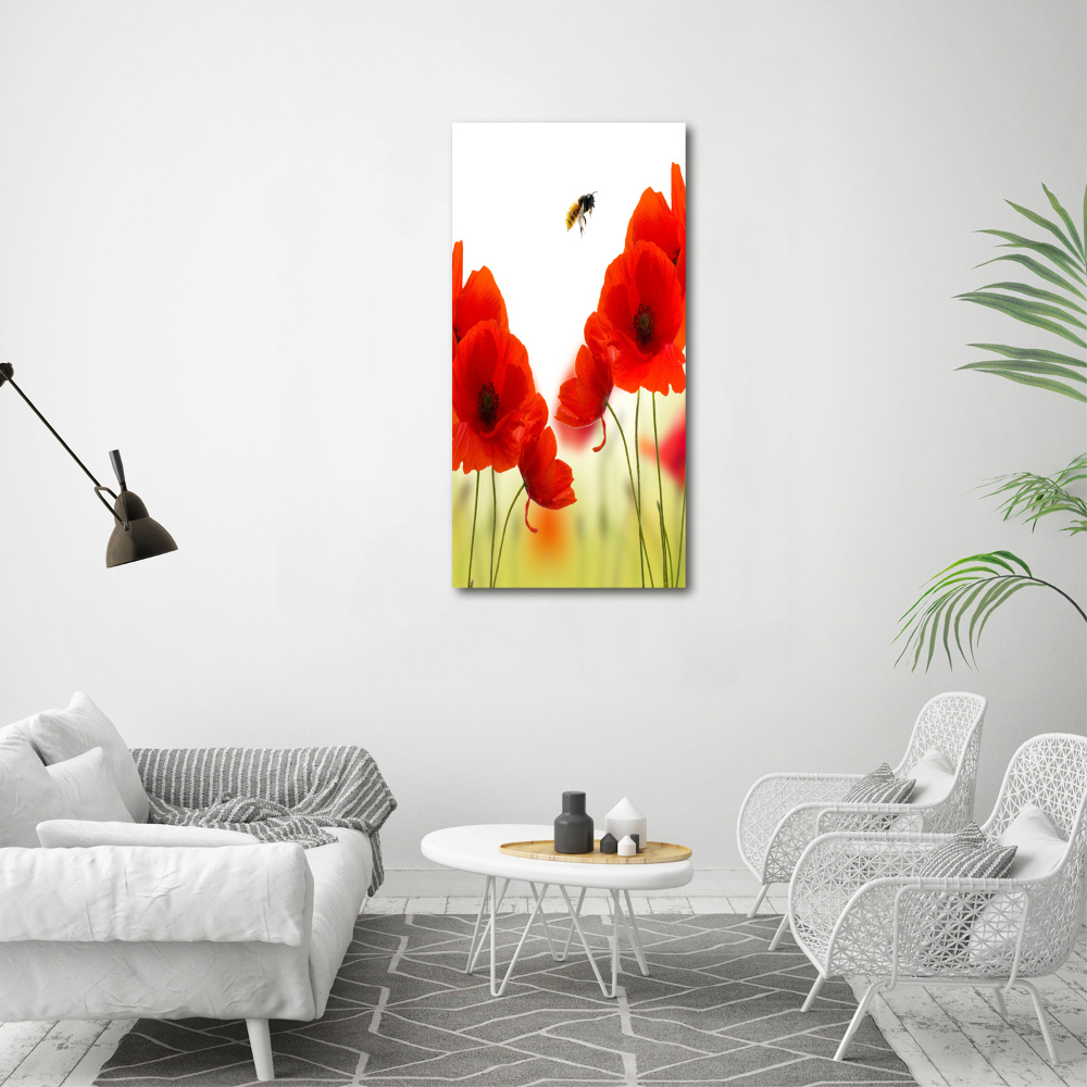 Print on acrylic glass Field poppies