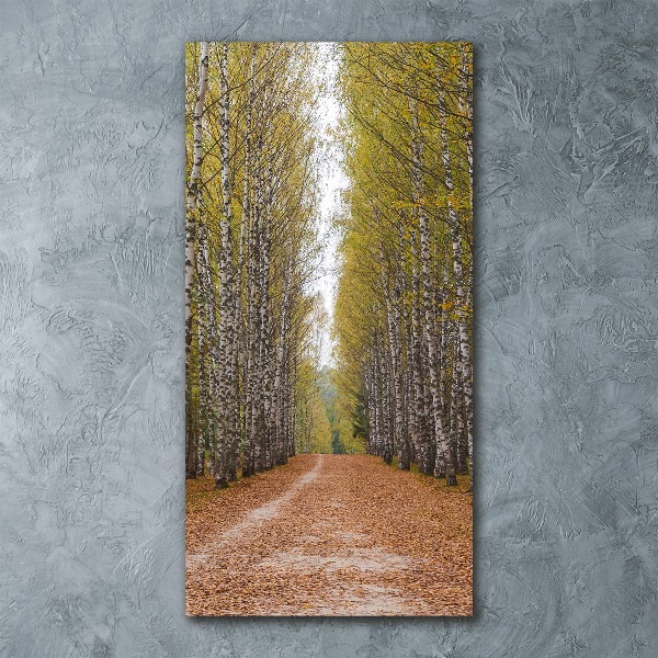 Acrylic print Birch forest