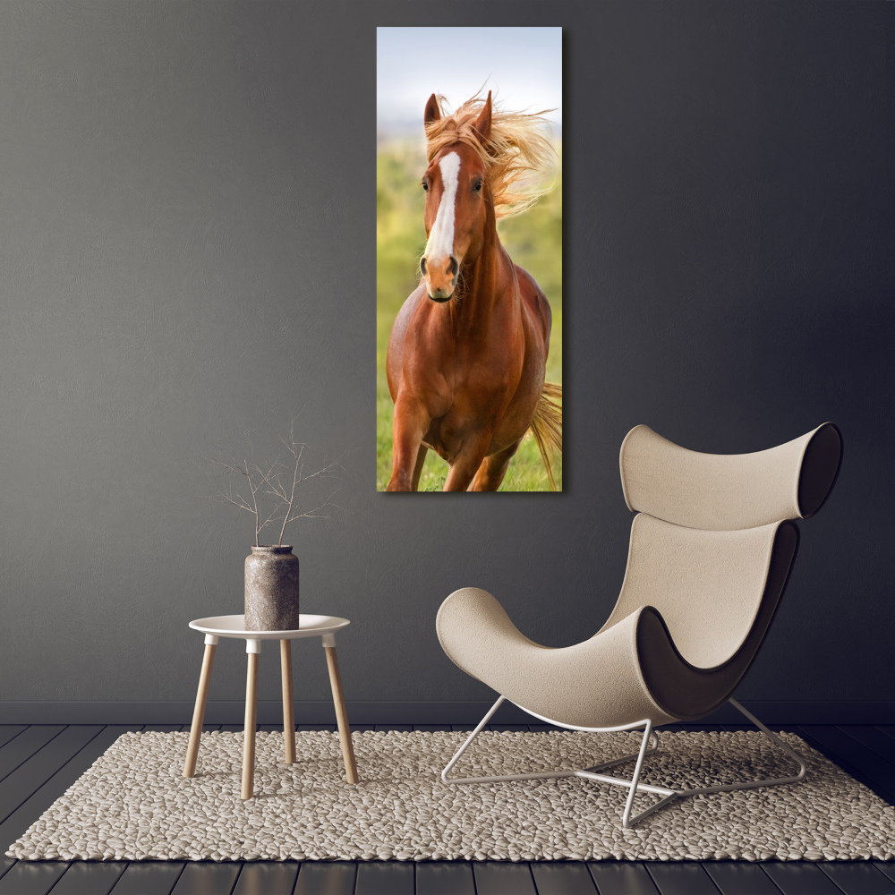 Print on acrylic Horse at a gallop