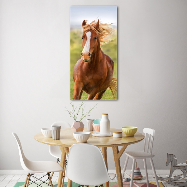 Print on acrylic Horse at a gallop