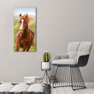 Print on acrylic Horse at a gallop