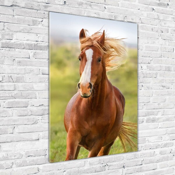 Print on acrylic Horse at a gallop