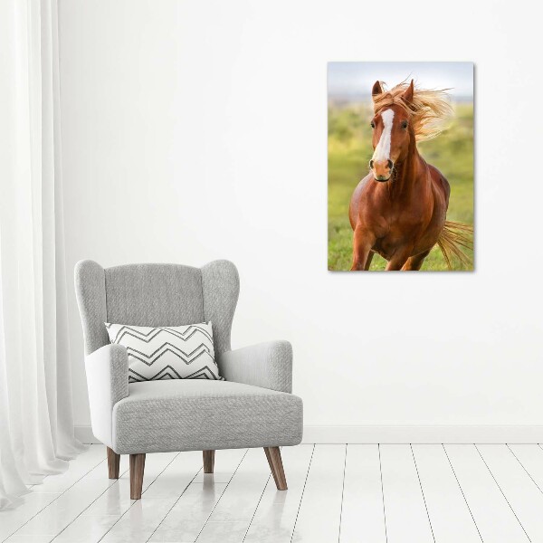 Print on acrylic Horse at a gallop