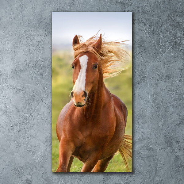 Print on acrylic Horse at a gallop