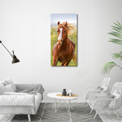 Print on acrylic Horse at a gallop