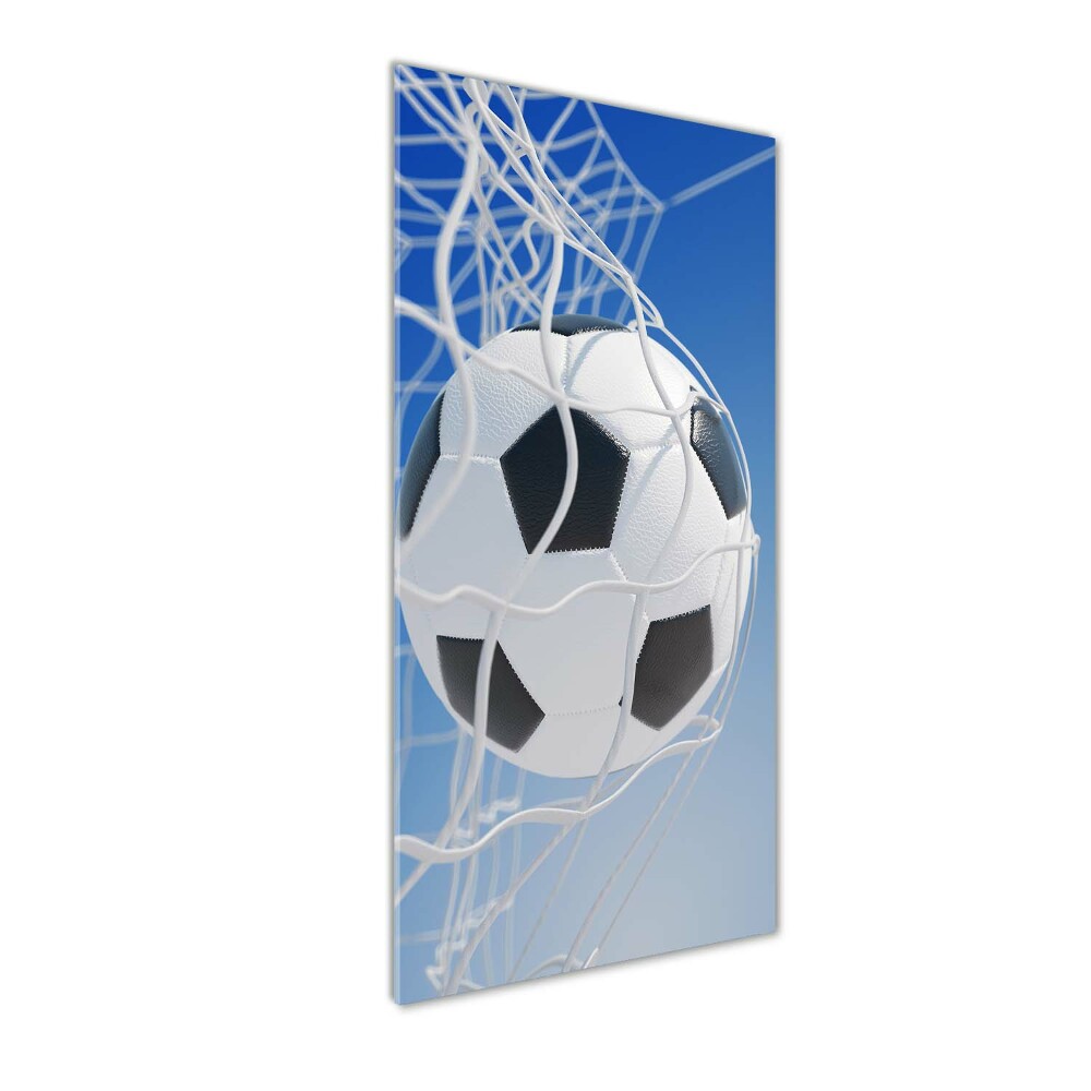 Print on acrylic Ball in the goal