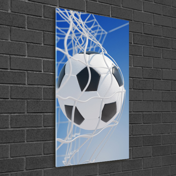 Print on acrylic Ball in the goal