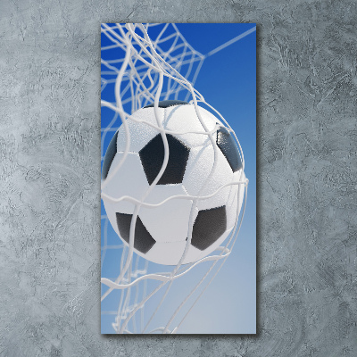 Print on acrylic Ball in the goal