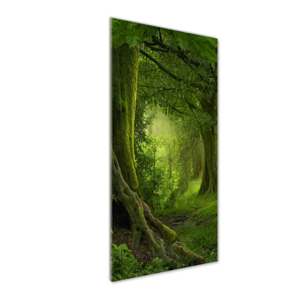 Print on acrylic glass Tropical jungle