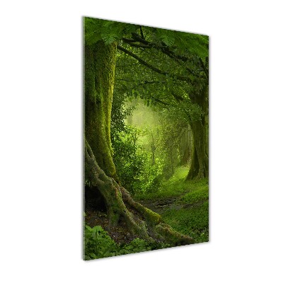 Print on acrylic glass Tropical jungle