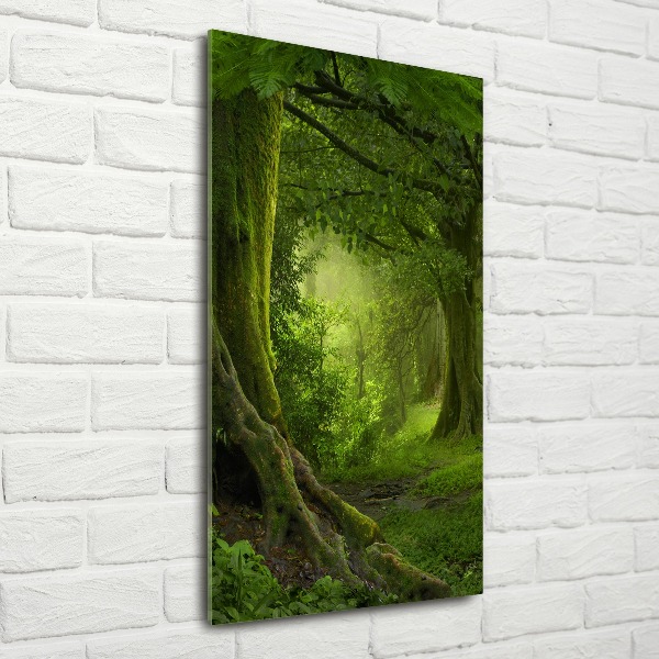 Print on acrylic glass Tropical jungle