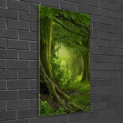 Print on acrylic glass Tropical jungle