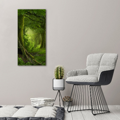 Print on acrylic glass Tropical jungle