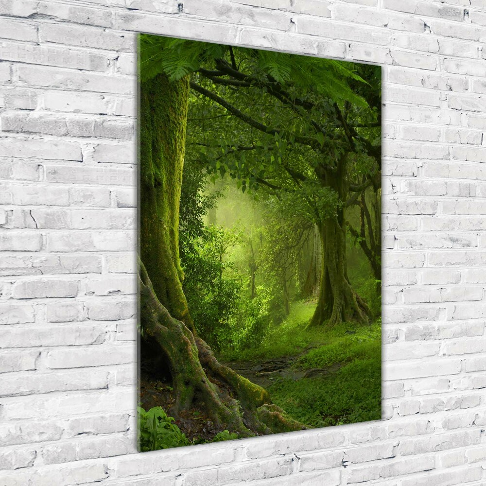 Print on acrylic glass Tropical jungle