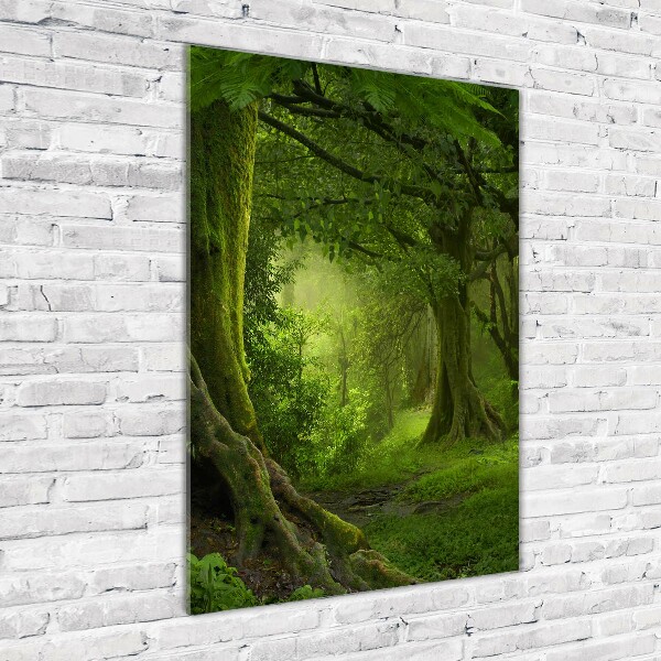 Print on acrylic glass Tropical jungle