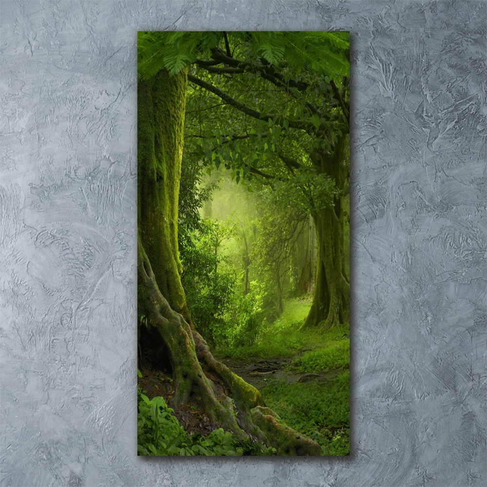 Print on acrylic glass Tropical jungle