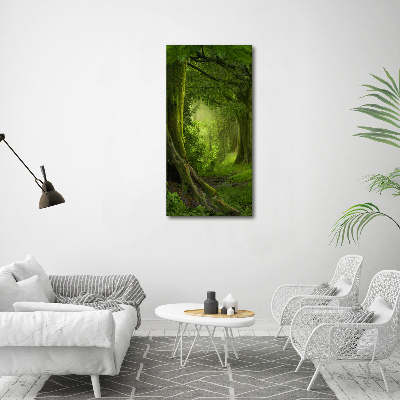 Print on acrylic glass Tropical jungle