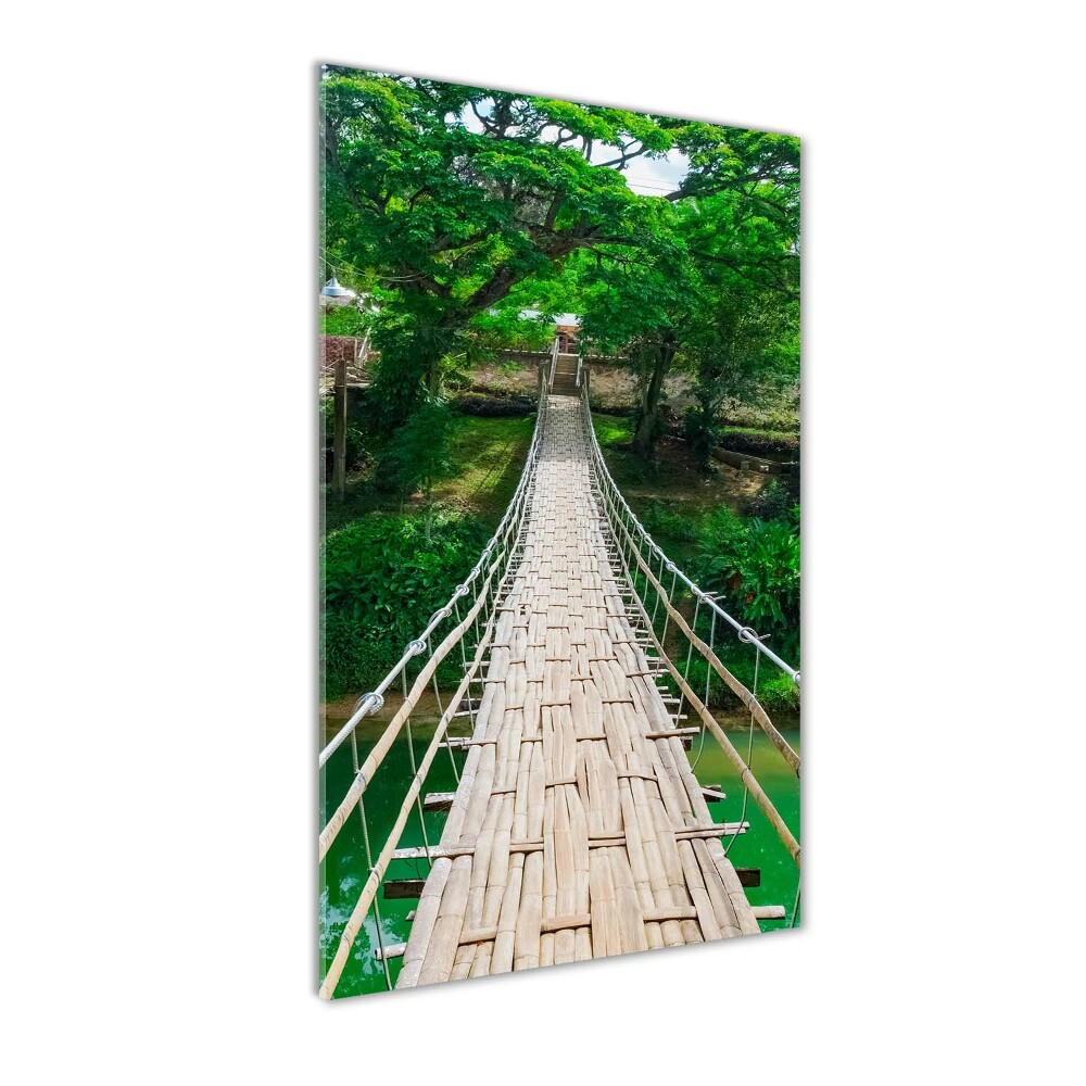 Print on acrylic Hanging bridge