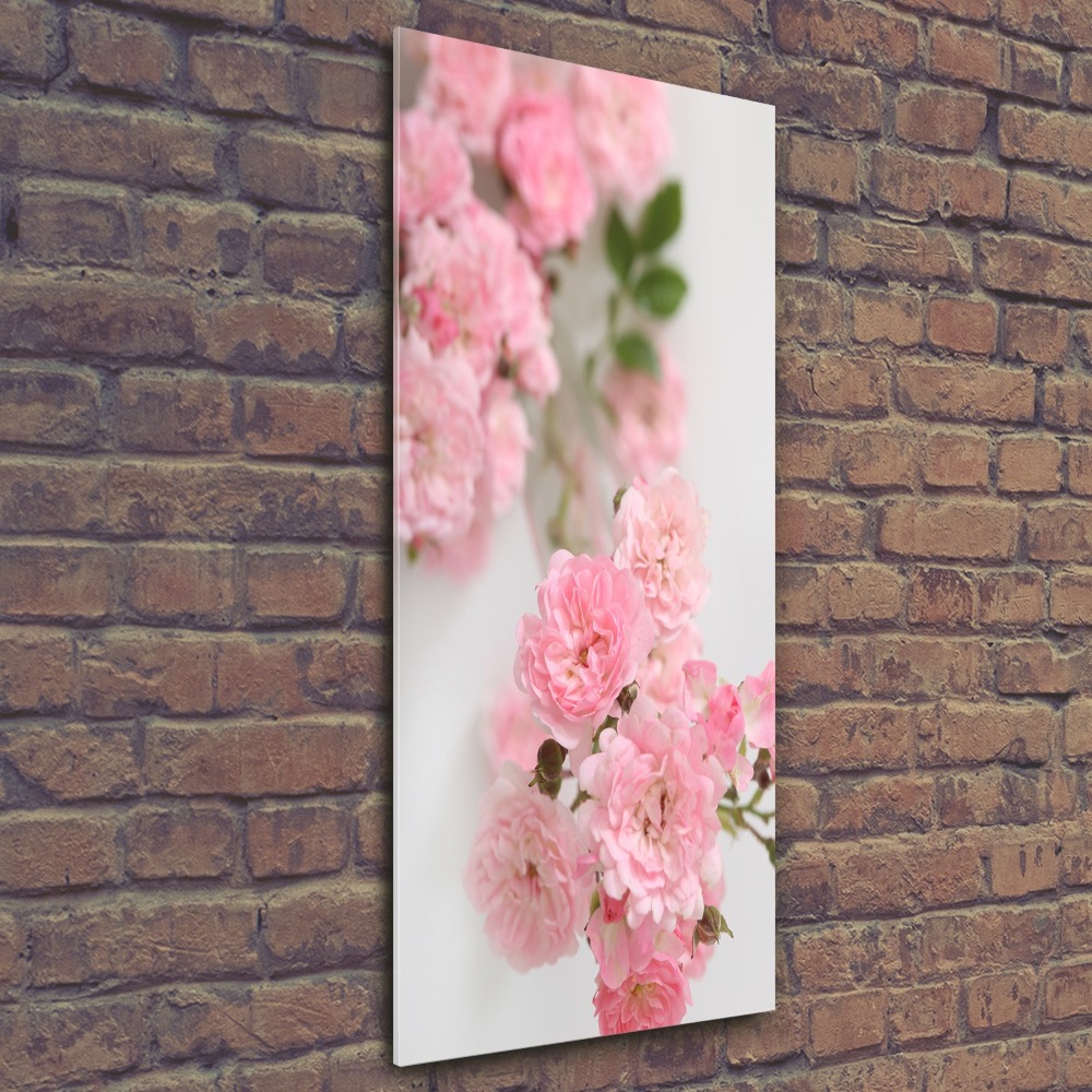 Print on acrylic glass Wild Rose