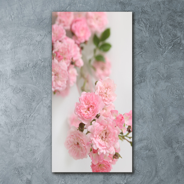 Print on acrylic glass Wild Rose