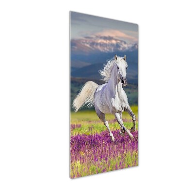 Wall art acrylic White horse at a gallop