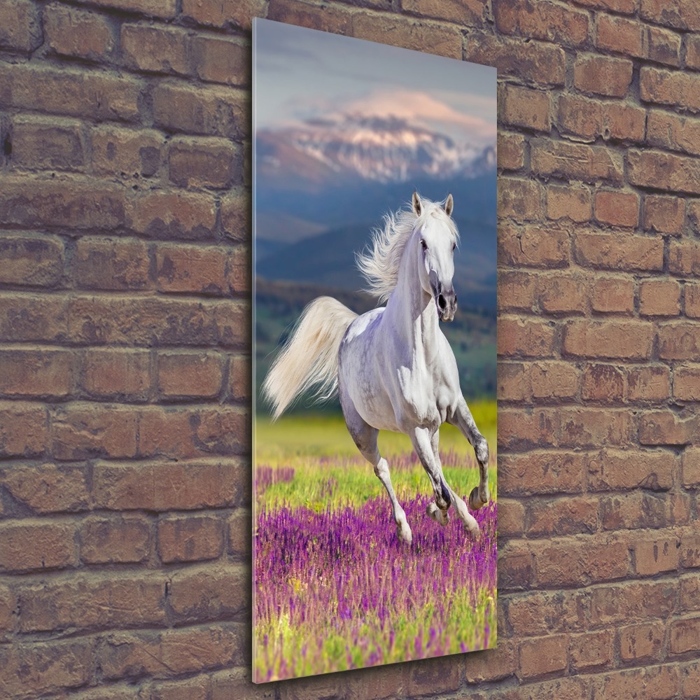 Wall art acrylic White horse at a gallop