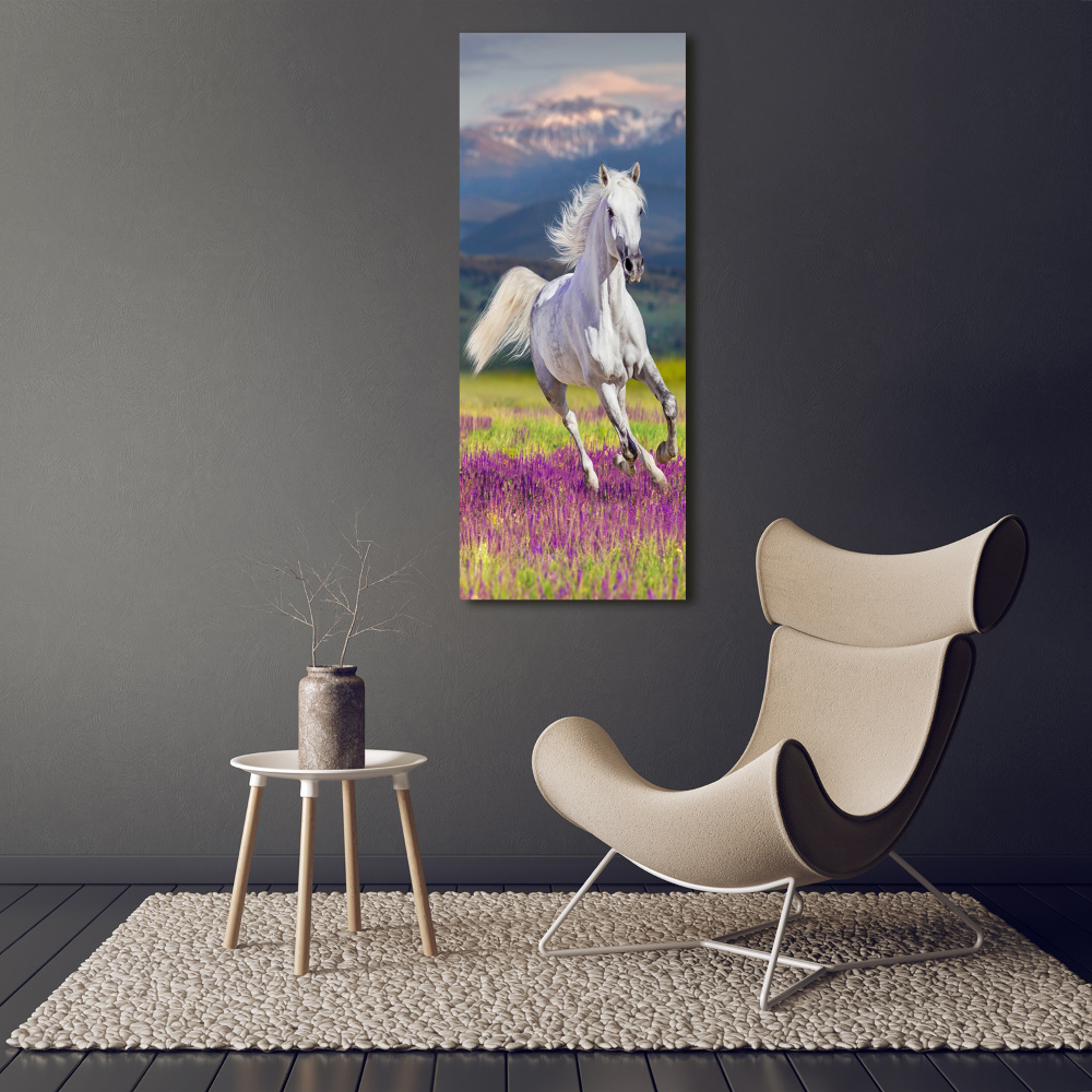 Wall art acrylic White horse at a gallop