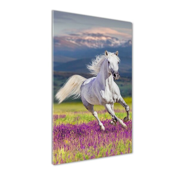 Wall art acrylic White horse at a gallop