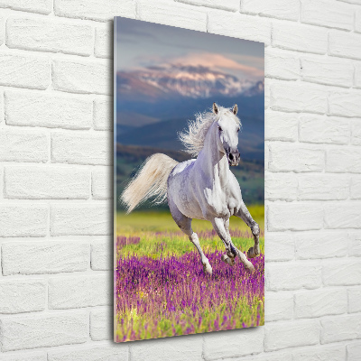 Wall art acrylic White horse at a gallop